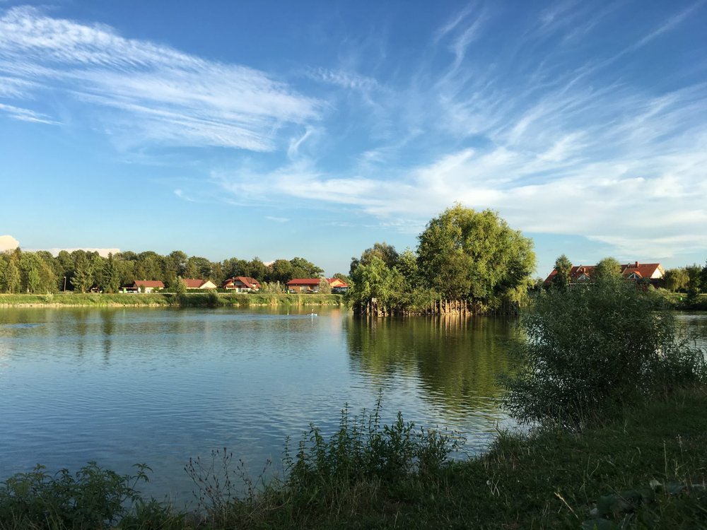 Gathering my thoughts at the fishpond
