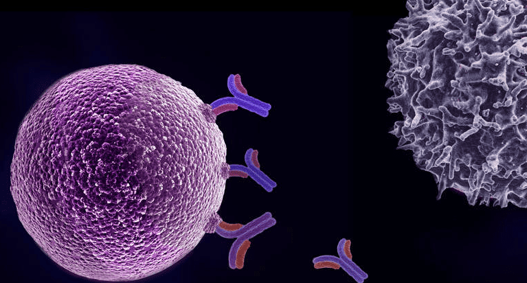 Immunotherapy – a revolution in blood cancer therapy