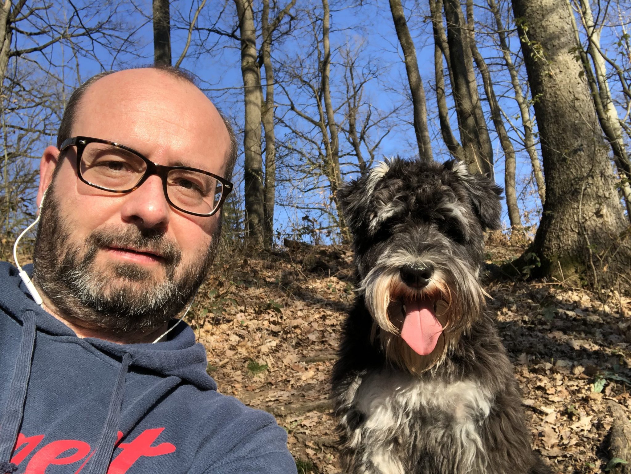 Freelancing – with a Schnauzer